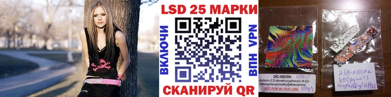 hydra ТОР  продажа наркотиков  Стародуб  Наркотические марки 1,8мг 