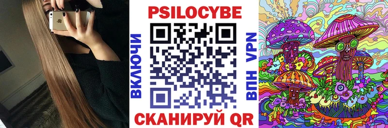 дарнет шоп Стародуб Псилоцибиновые грибы Psilocybine cubensis